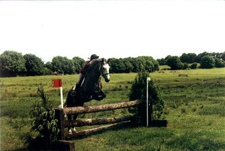 Ireland-Offaly-Offaly Equestrian Center
